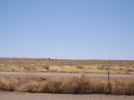 homepage017005.jpg