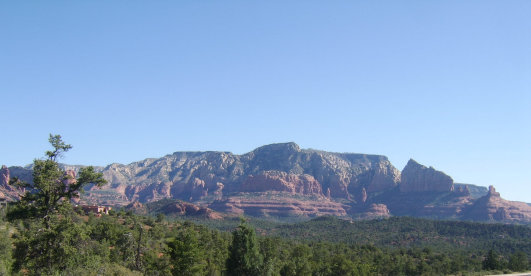 homepage017009.jpg