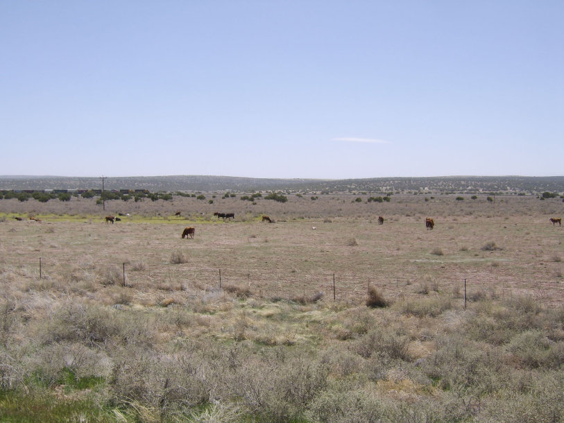 homepage018004.jpg
