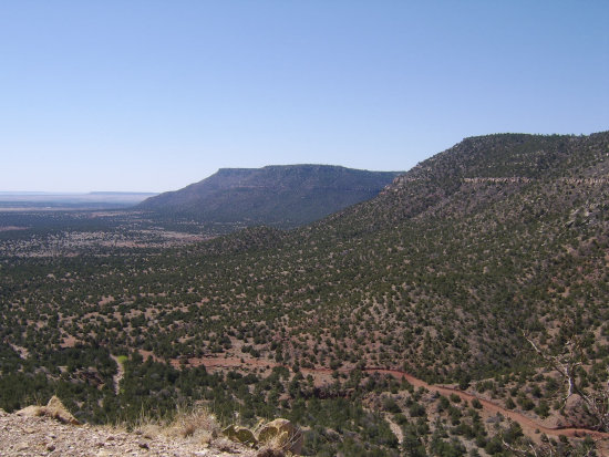 homepage022007.jpg